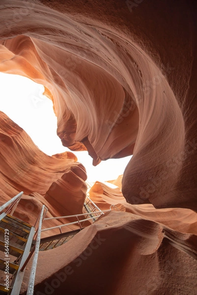 Fototapeta 砂岩に囲まれた渓谷
