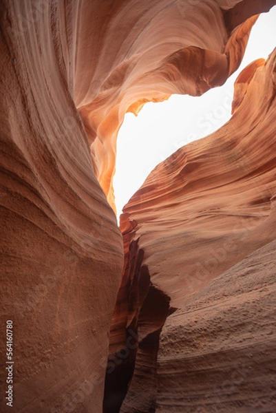 Fototapeta 砂岩に囲まれた渓谷