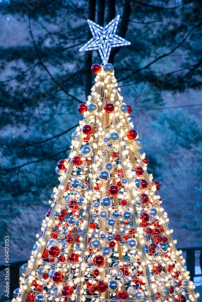 Obraz 푸른 새벽의 느낌을 담은 대형 크리스마스 트리