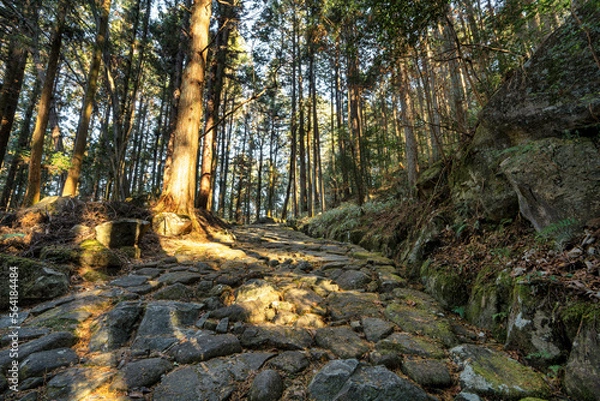 Obraz 中山道　落合の石畳