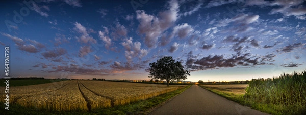 Obraz coucher de soleil sur champ de blés
