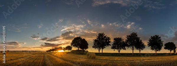 Obraz champ de blé après les moissons au coucher de soleil