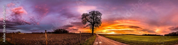 Obraz Lever de soleil coloré