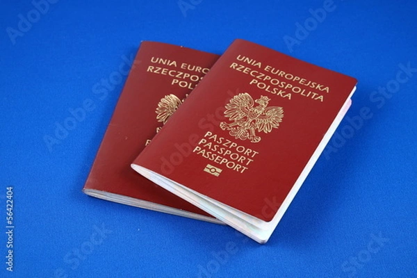 Obraz polski paszport