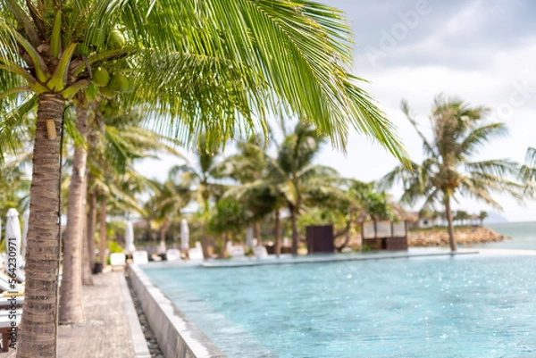Fototapeta 야자나무에 초점이 맞은 휴양지 백그라운드 편집이미지 소스 BG.