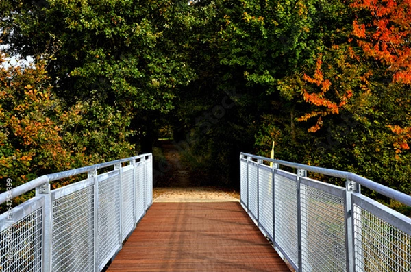Obraz bridge in autumn