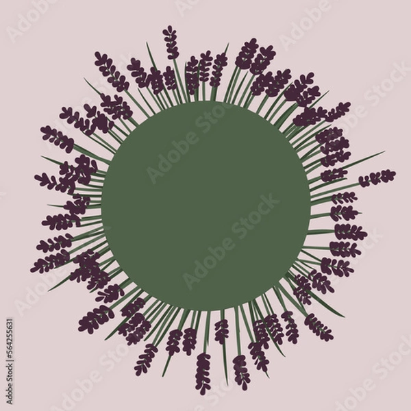 Fototapeta Floral frame. Lavender circle template. Violet, purple flowers. Hand drawn vector illustration.