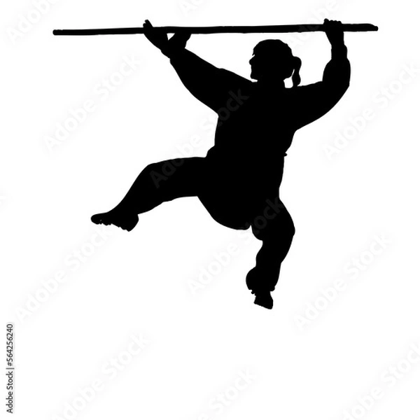 Obraz silhouette of a kungfu martial arts moves with transparent background