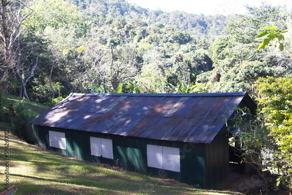 Obraz old house in the woods