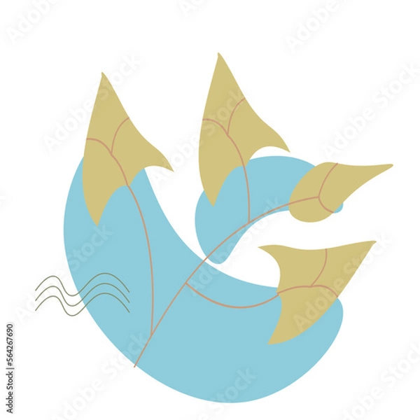 Fototapeta Boho Plant Element