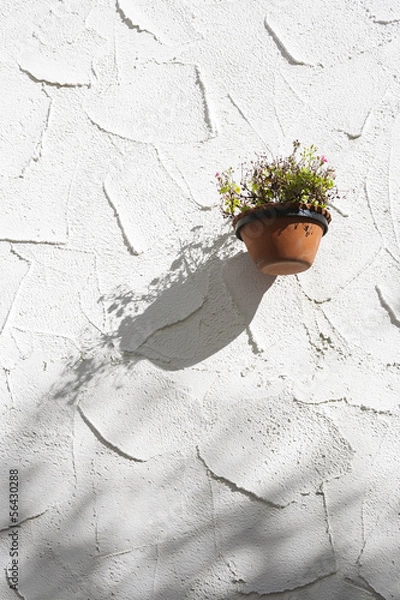 Fototapeta 白い壁