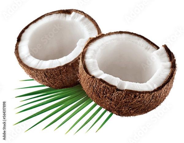 Fototapeta coco cortado com meio com folhas - coco com folhagem embaixo 
