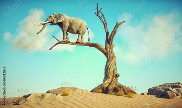 Fototapeta Elephant stands on thin branch of withered tree in surreal landscape.