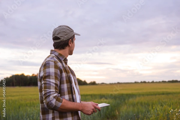 Fototapeta Farmer with a tablet computer in front of a sunset agricultural landscape. Countryside field. The concept of country life, food production, farming and technology concept.