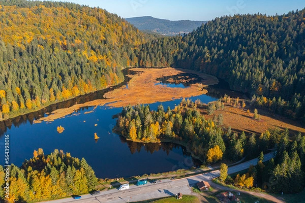 Fototapeta Le lac de Lispach (La Bresse / Vosges) en automne