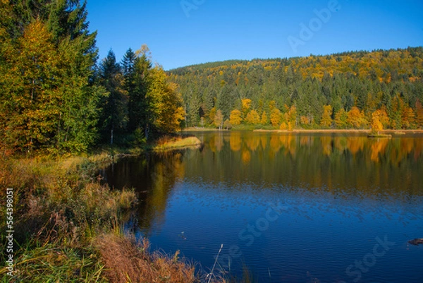 Obraz Le lac de Lispach (La Bresse / Vosges) en automne