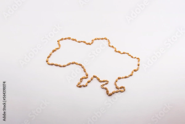 Fototapeta Ukrainian grain in the shape of a map of Ukraine on a white background.