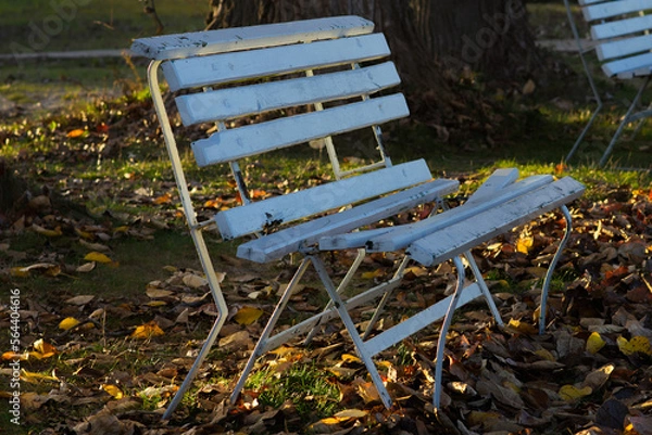 Obraz bench in the garden
