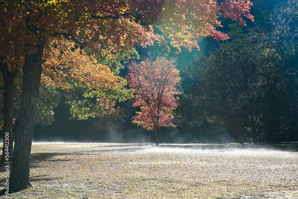 Obraz A chill morning