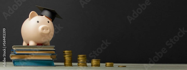 Fototapeta Piggy bank and book. College fees saving concept, copy space for text