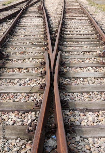 Fototapeta Two tracks - vertical