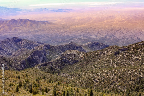 Obraz landscape in the morning