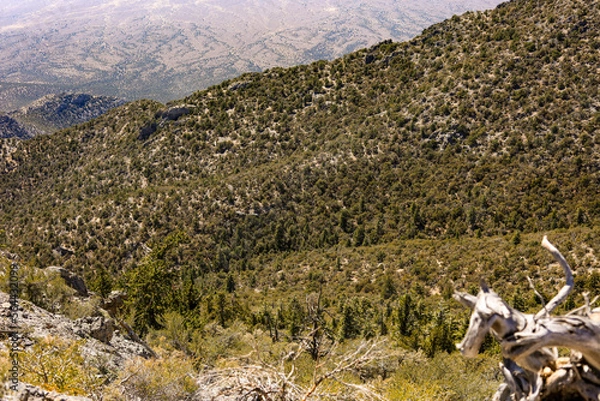 Obraz desert mountains