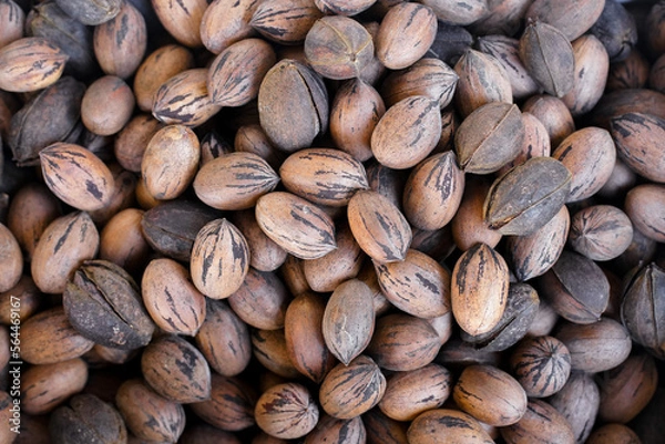 Fototapeta Pecans From Above