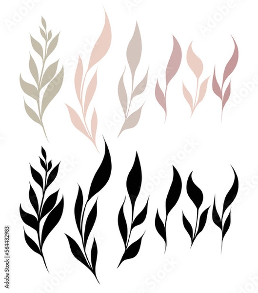 Fototapeta Vector rustic set of branches with leaves. Twig with foliage silhouettes in pastel and black colors isolated from the background.