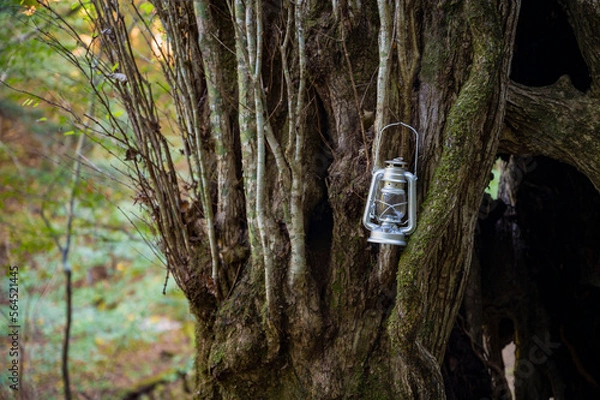 Fototapeta キャンプ