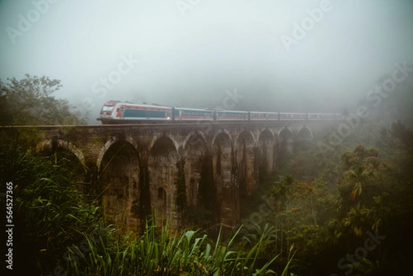 Obraz train on the bridge