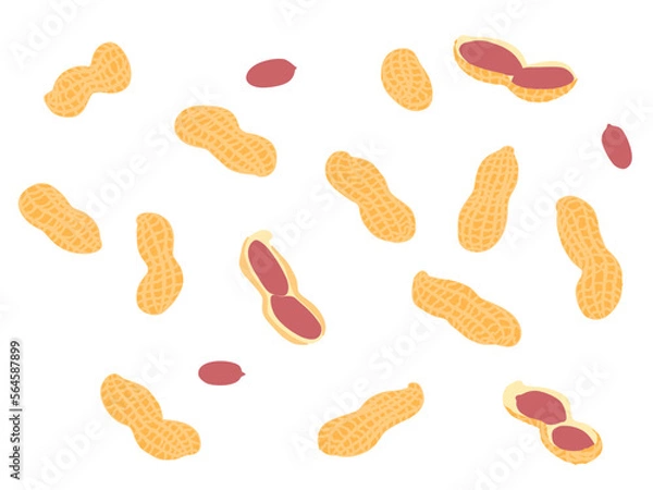 Fototapeta 野菜イラスト　バラエティセット　落花生.