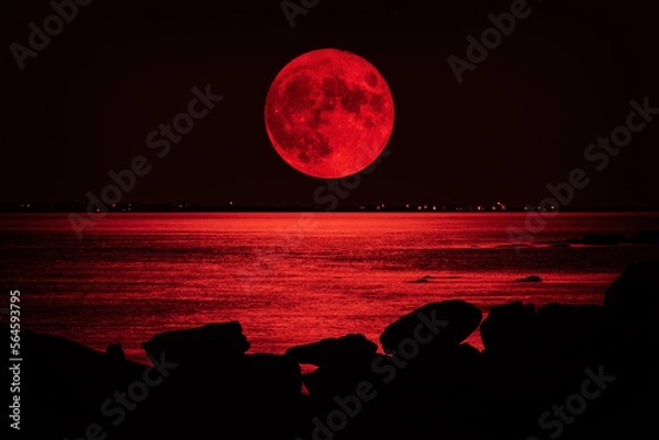 Obraz Full red moon over the sea