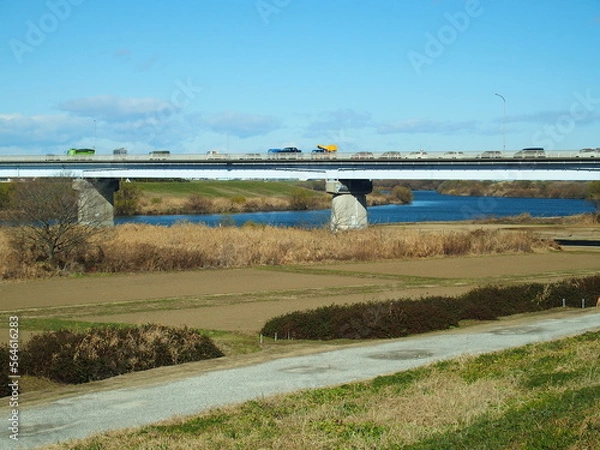 Fototapeta 土手から見る渋滞する上葛飾橋と冬のお花畑のある江戸川河川敷風景