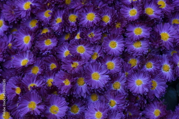 Fototapeta flowers background