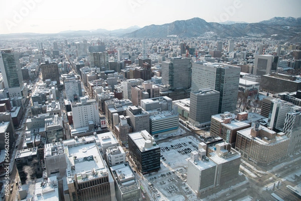 Obraz 北海道　札幌　冬景色　素材
