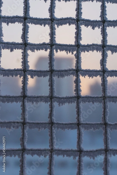 Obraz Mesh in the snow