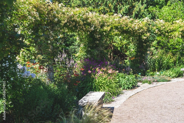 Obraz path in the garden