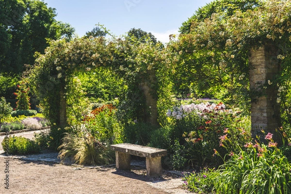 Obraz bench in the garden