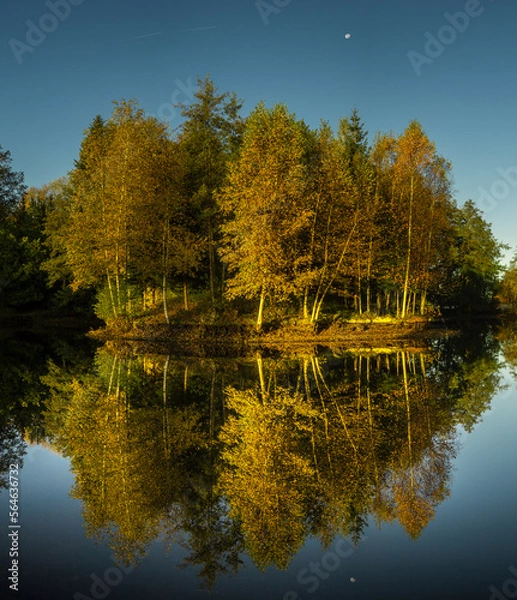 Fototapeta Reflets d'automne sur une étang