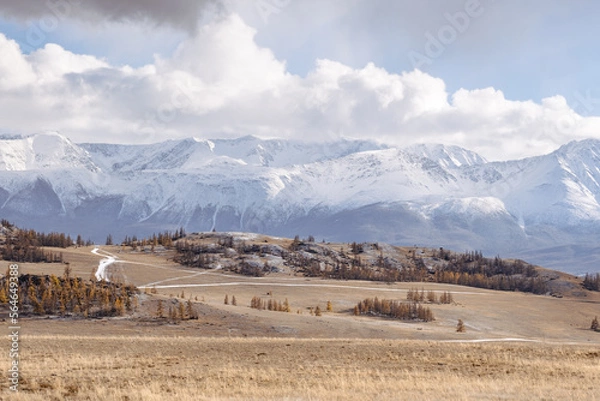 Obraz Majestic autumn mountain landscape. Valley with golden trees and white snowy mountains in the background, sunset in Kurai steppe, North-Chuya mountain range, Altai