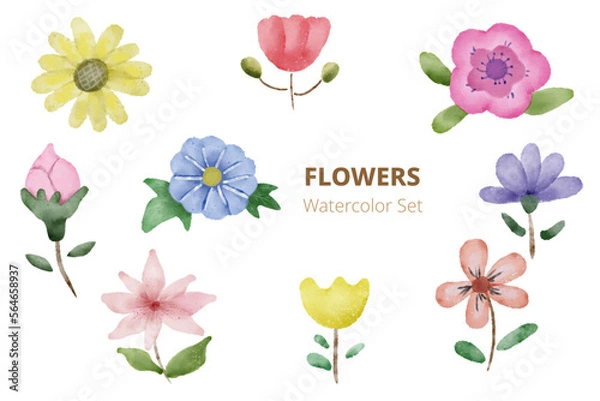 Fototapeta Set of flowers, hand drawn watercolor illustration isolated on white background.