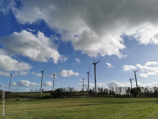 Fototapeta wind turbines in the field