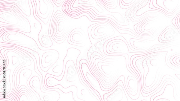 Obraz Abstract pink topographic map, vector background with height lines. Topographic map colorful abstract background with contour lines. The concept of conditional geographical pattern and topography map.