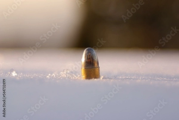 Fototapeta wrong snowflake