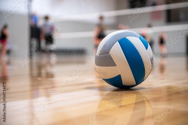 Obraz volleyball on the ground
