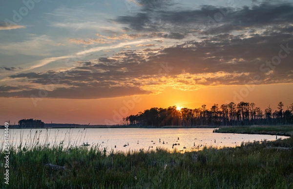 Fototapeta Blackwater Sunset