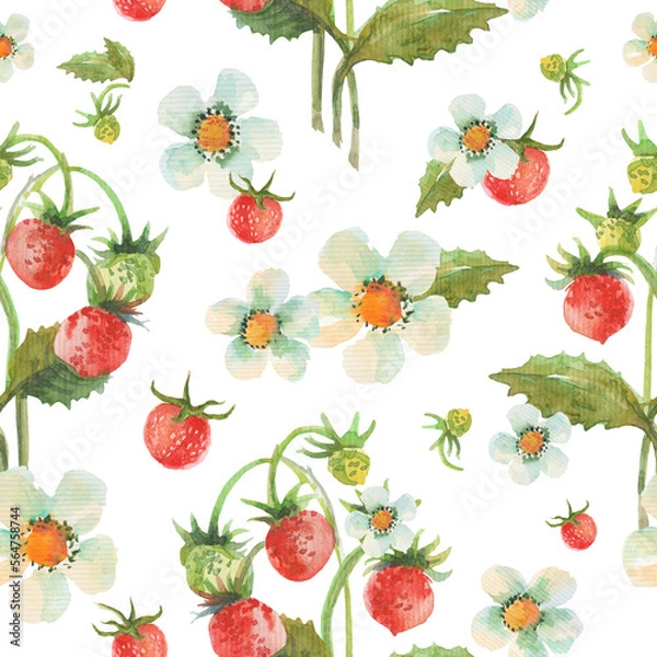 Fototapeta Seamless pattern with watercolor strawberry. Floral illustration of berries and flowers. Herbal background.
Good for wrapping paper, textile, prints and other.