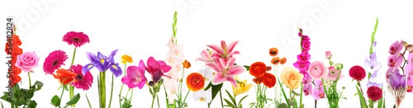 Fototapeta Piękne kwiaty na białym tle