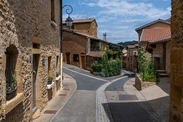 Obraz Val d'Oingt Street and Old Houses